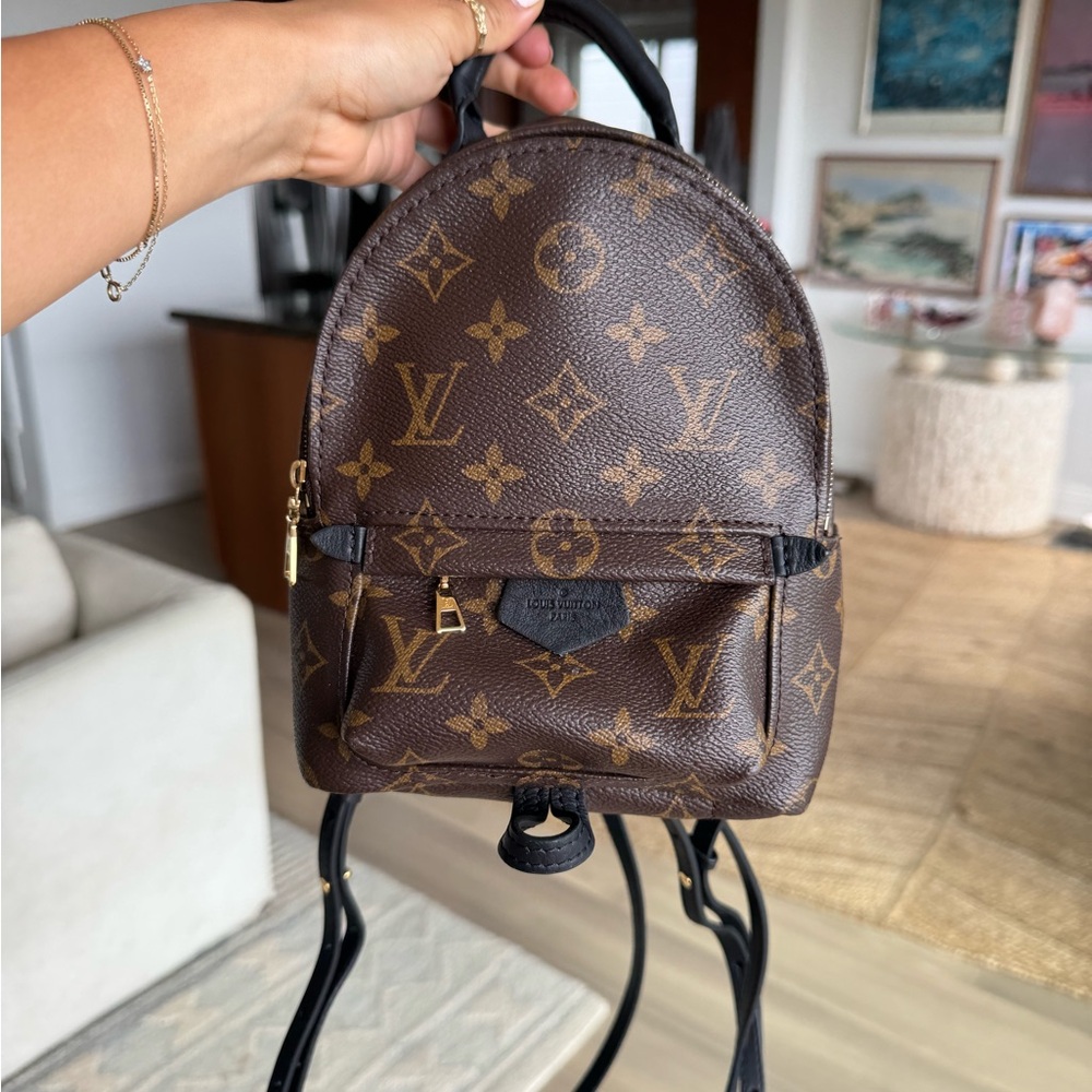 Louis Vuitton Monogram Palm Springs Mini Backpack